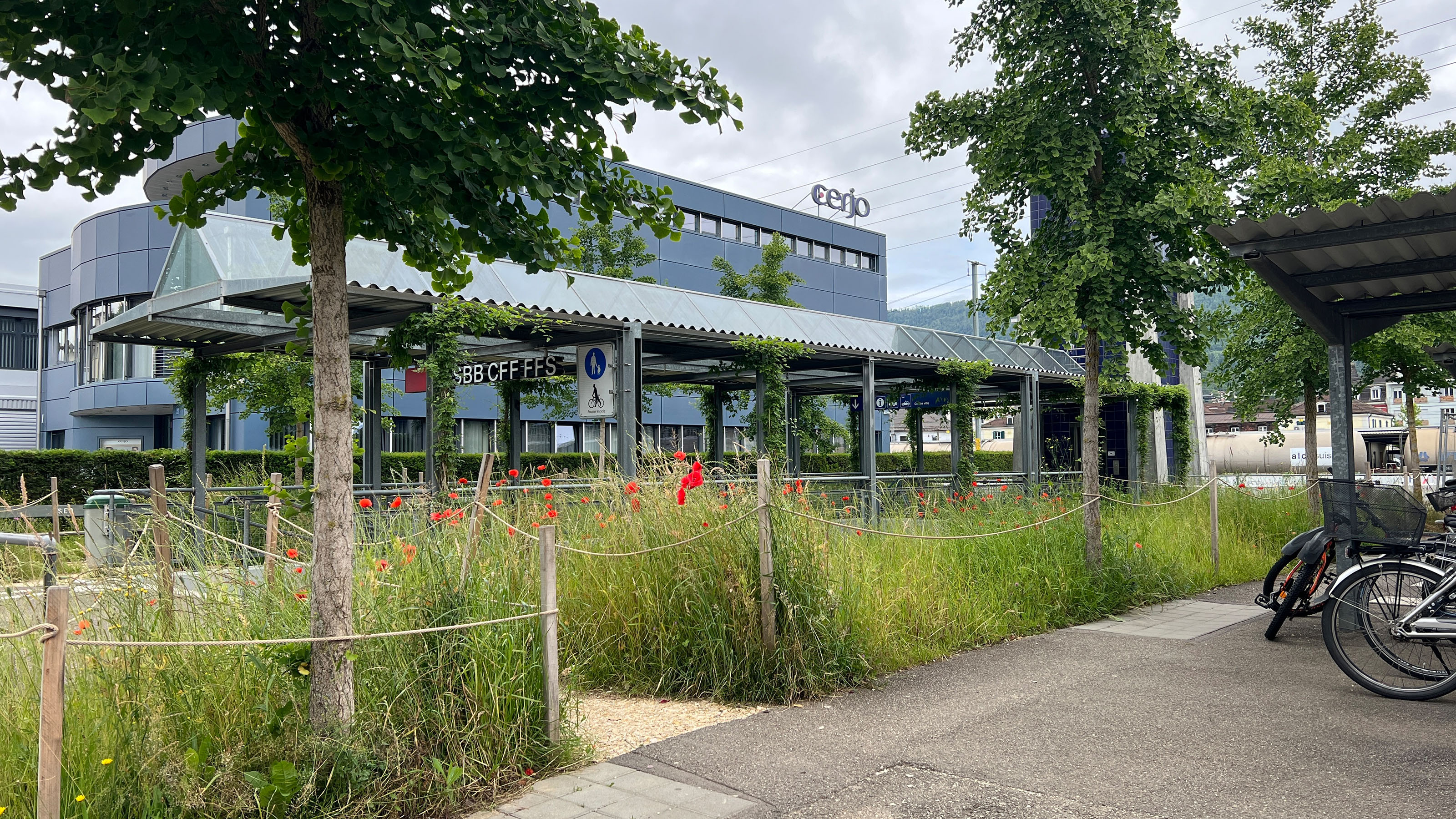 Nachher: Biodiversität am Bahnhof.