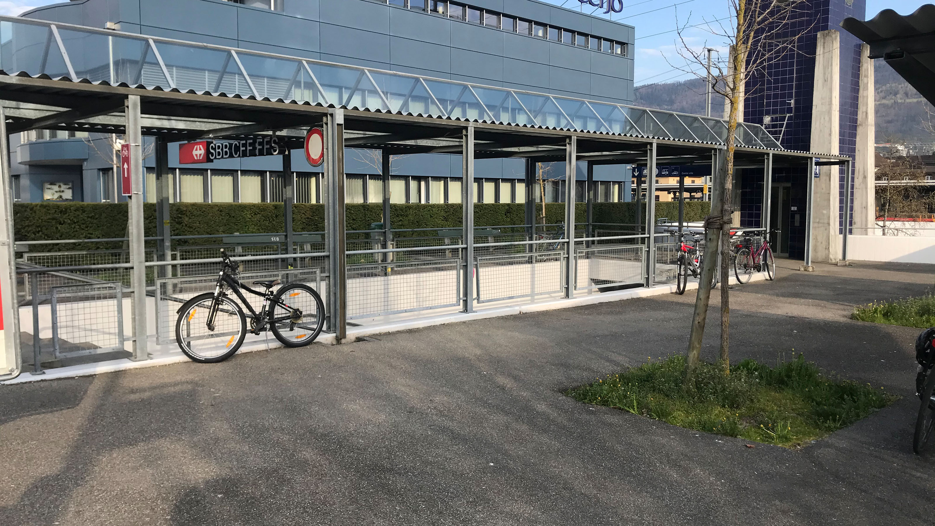 Vorher: Biodiversität am Bahnhof.