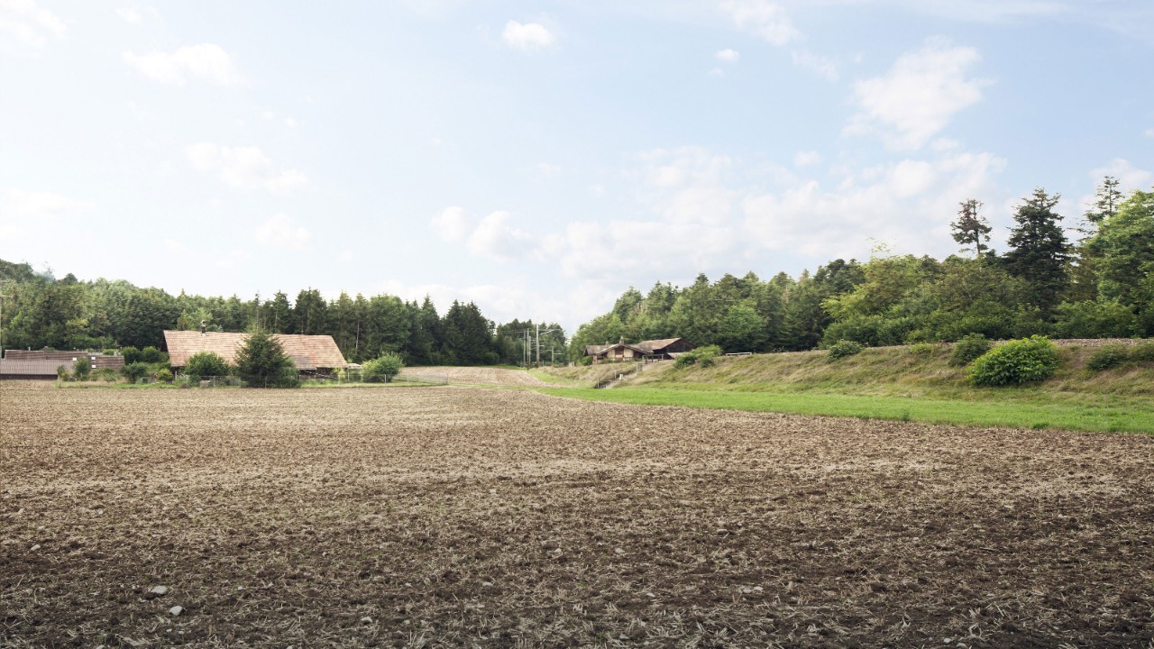 Blick auf das Tunnelportal südöstlich des Hüenliwaldes – Foto.