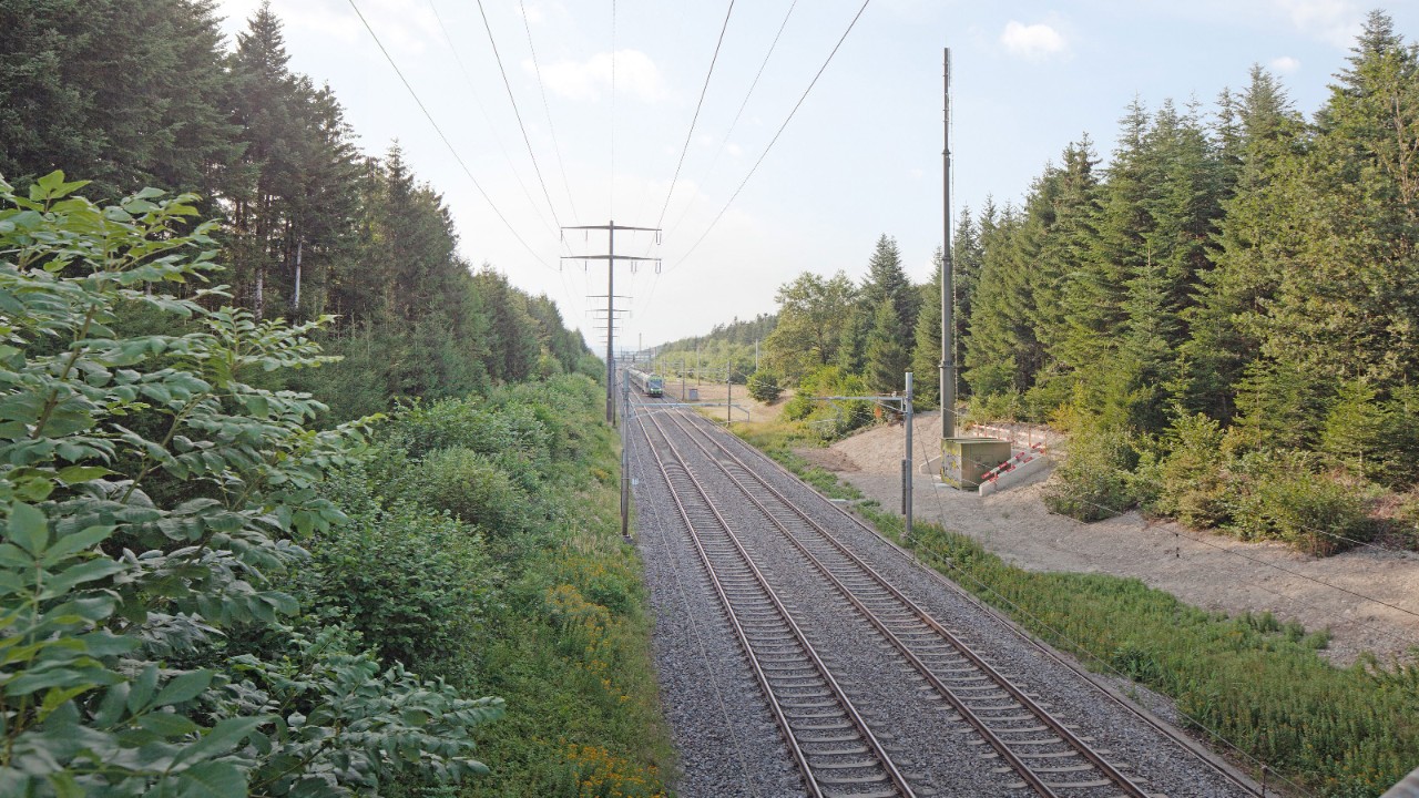 Blick Richtung Gümligen im Hüenliwald – Foto.